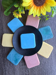 Shampoo bars